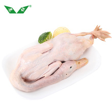 崇明麻鸭2.2斤农家水鸭土鸭肉鸭冷冻整只白条鸭生鲜食材批发团采
