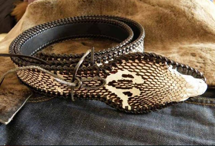 【未然海】带头眼镜蛇皮稀有皮真皮手工diy腰带高档包包定制用