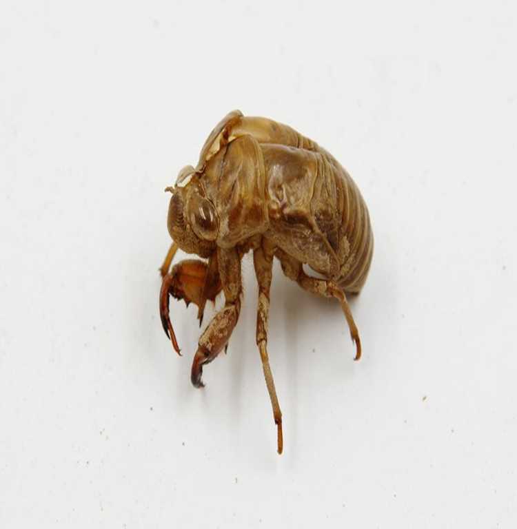 da95ucq(dyo7b~vnr03z$zm_副本