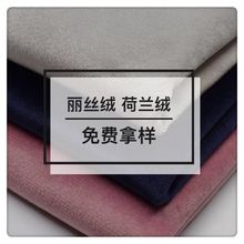 现货供应高品质丽丝绒荷兰绒全涤针织无弹面料沙发保暖服装面料