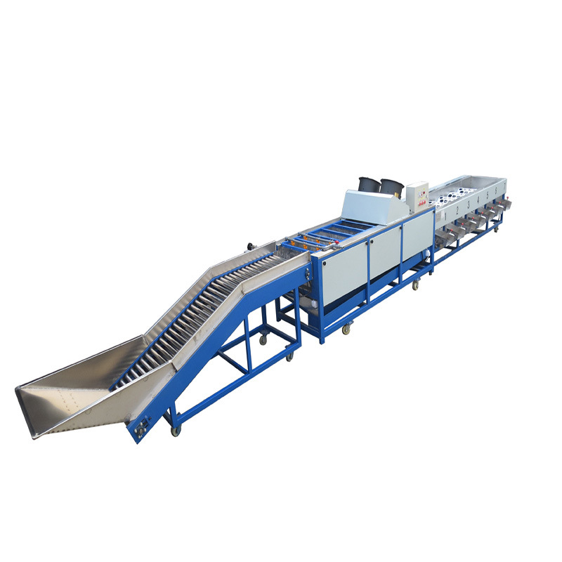 脐橙清洗分级机械 柑桔分选设备 果蔬清洗机 水果选果机