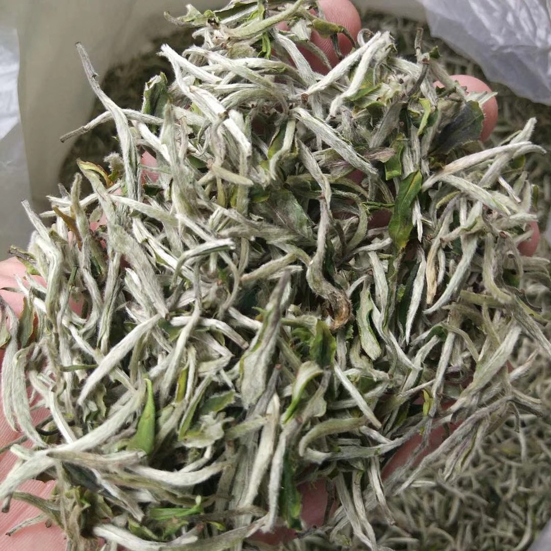 2019明前新茶白牡丹散装500g 福鼎白茶荒野牡丹王 高山日晒白茶