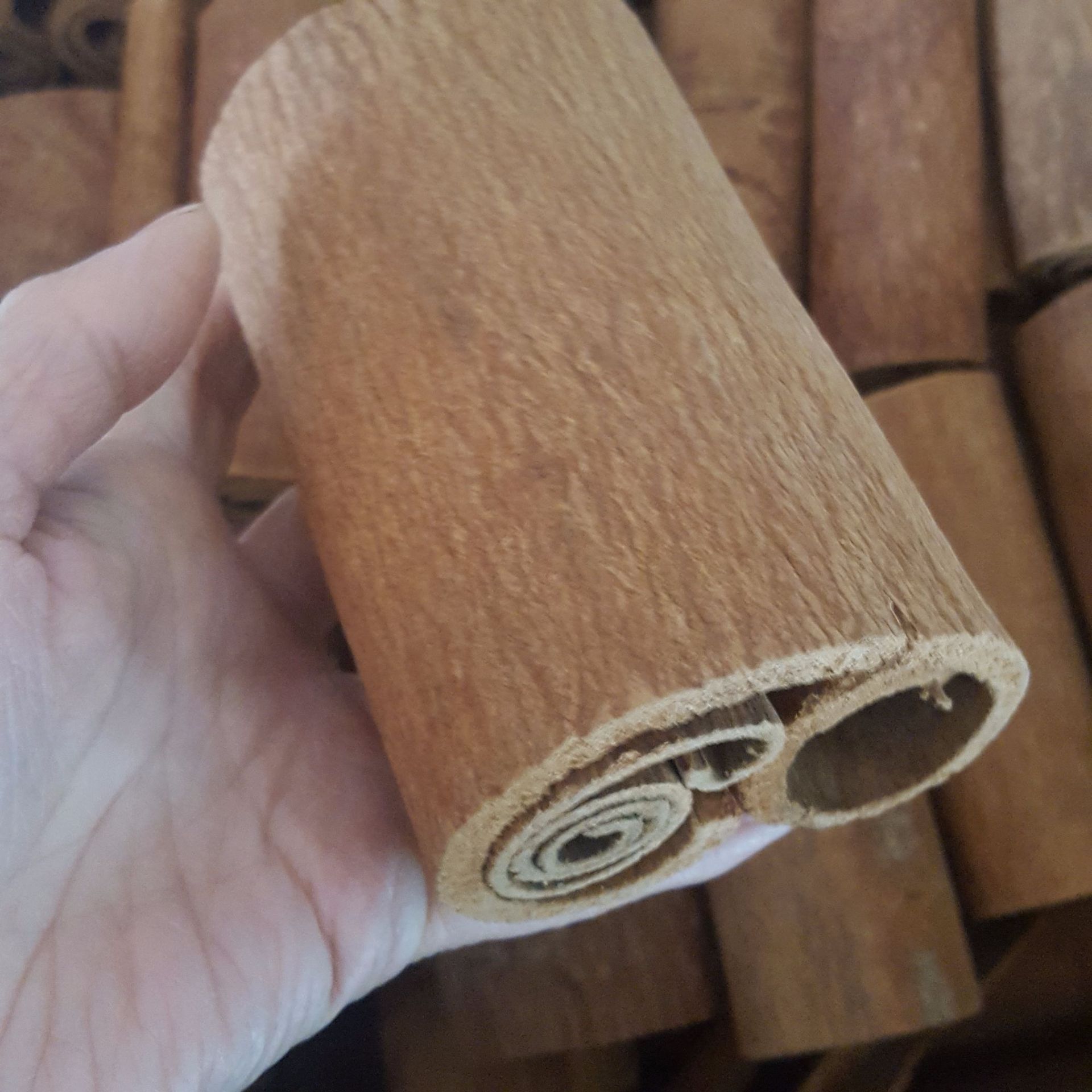 调料紫油桂桂心去皮油桂皮段肉桂烟桂桂通实物拍照