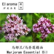 埃及甜马郁兰精油 马乔莲单方精油 甜牛至Marjoram10ML