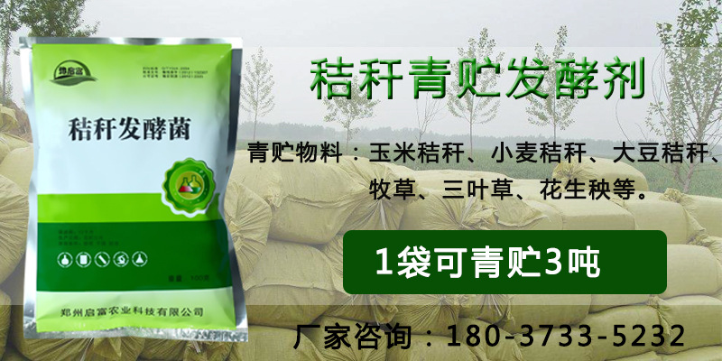 �ո��������ͼ�