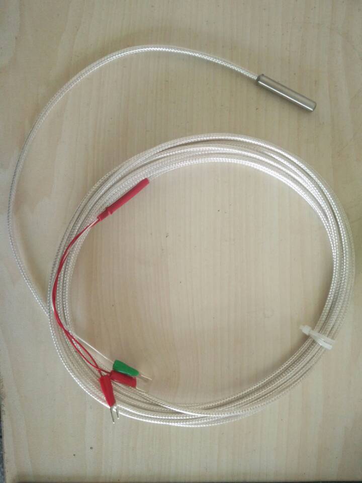 厂家直销端面热电阻 定制耐高温 批发温度传感器 测量测温