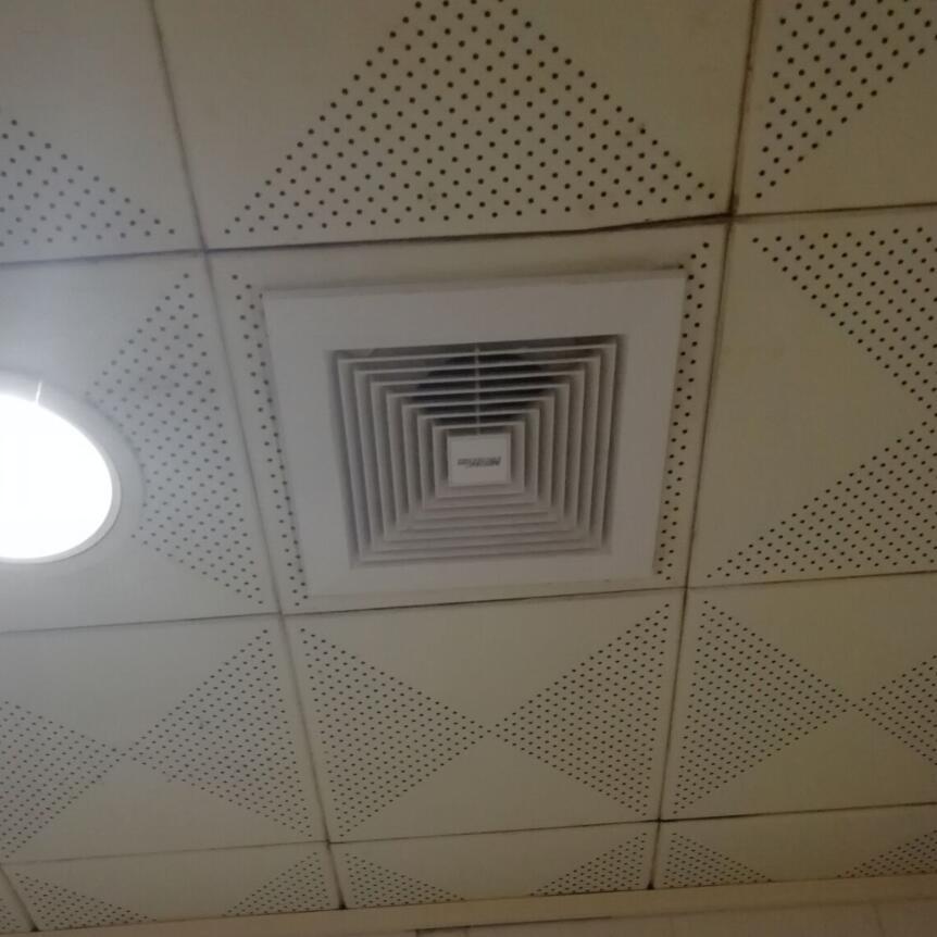 绿岛风排气扇吸顶管道式排风扇 静音宾馆酒店卫生间换气扇8寸12寸