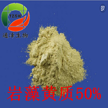 现货直销 岩藻黄质 50% 裙带菜提取物 褐藻提取物