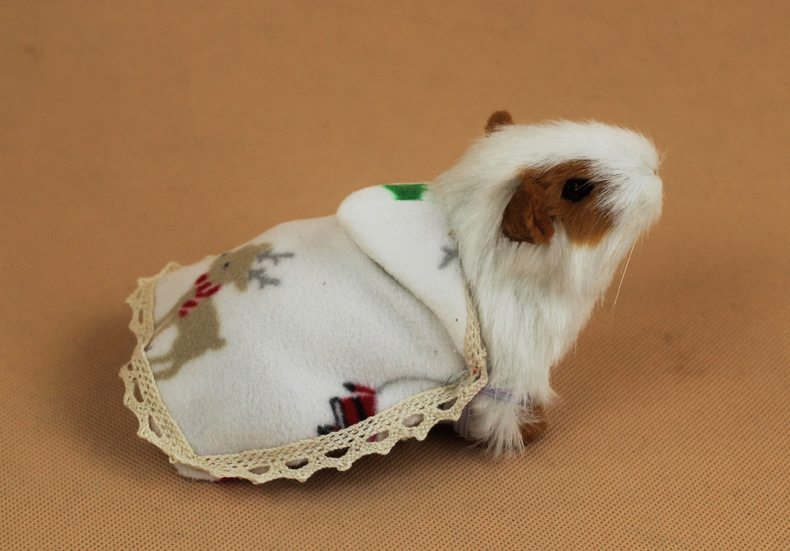 仓鼠衣服小宠披风荷兰猪服装松鼠衣服龙猫衣服兔子披风可爱衣服