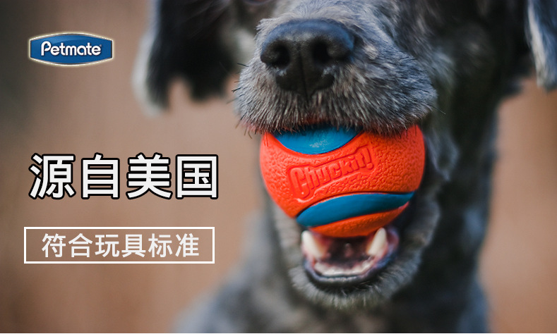 批发询价 美国petmate宠物玩具狗狗玩具橡胶发声球橄榄球互动训练
