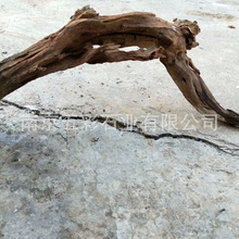 鱼缸草缸造景树根 水族装饰树根