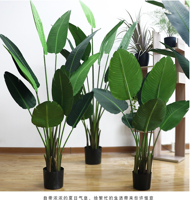 北欧仿真植物天堂鸟芭蕉树旅人蕉香蕉树热带假树高档绿植盆栽盆景