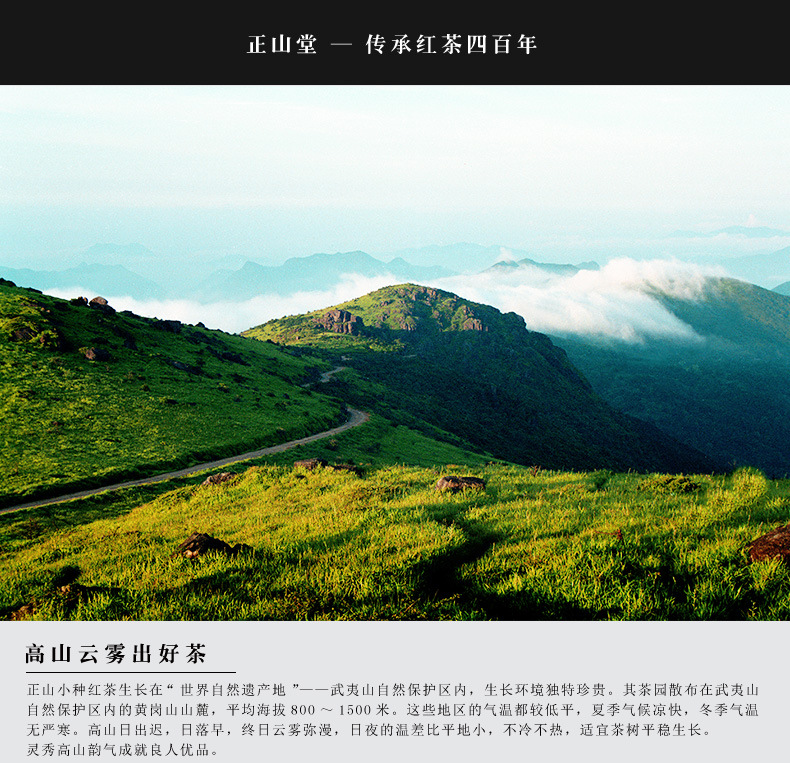 2018新茶元正小罐茶装福建茉莉花茶茉莉白毫银针高档礼盒10罐40g