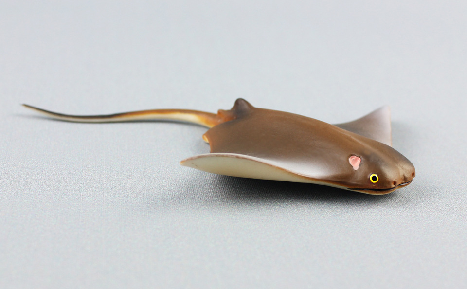 海洋生物模型小魔鬼鱼蝠鲼儿童仿真静态塑胶实心动物玩具外贸货源