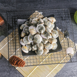 产地货源野生海捕大鲅鱼新鲜海鱼马鲛鱼鲜活燕鲅鱼深海海鲜青占鱼