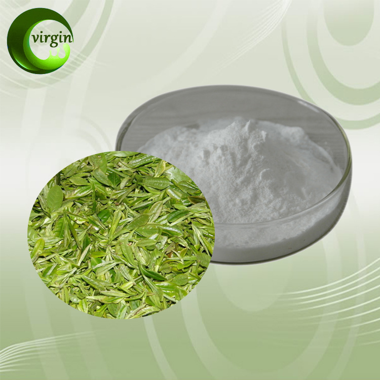 厂家供应 egcg 表没食子儿茶素95% 茶多酚 绿茶提取物 现货包邮
