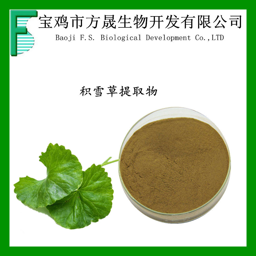 工厂供应积雪草提取物积雪草苷积雪草甙积雪草甙三萜20