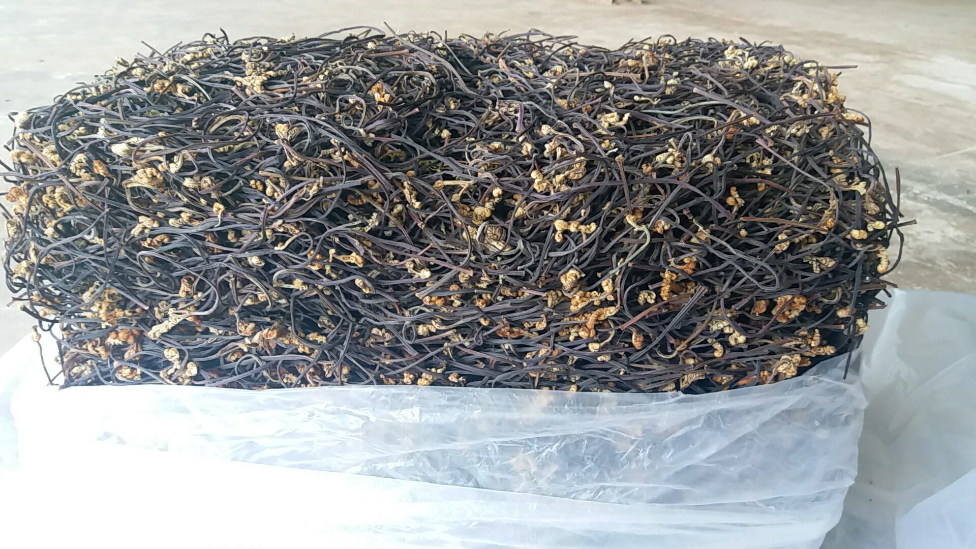 蕨菜干云南蕨菜干高山特产干货水煮蕨菜专业出口韩国市场指定用菜