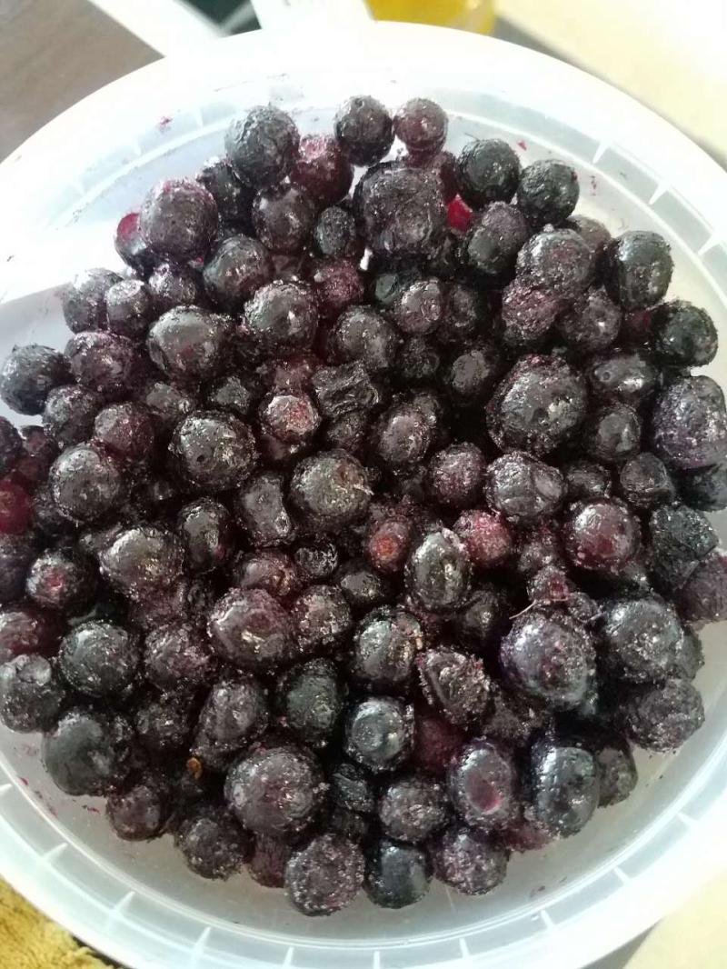 蓝莓鲜果速冻大兴安岭都柿新鲜野生蓝莓东北冷冻野生水果500g包邮