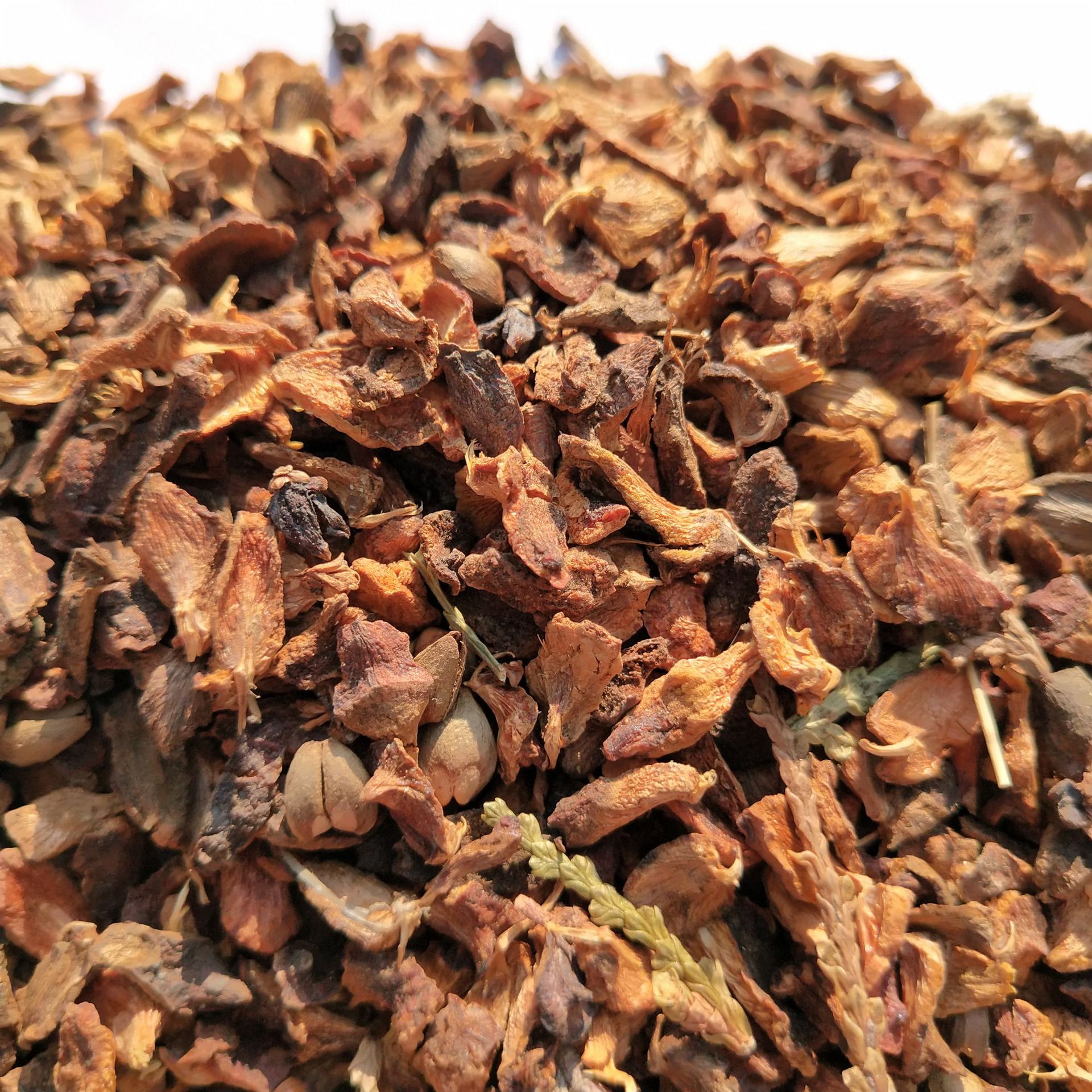 大量批发侧柏外壳 大柏壳中药材枕芯填充物 侧柏壳