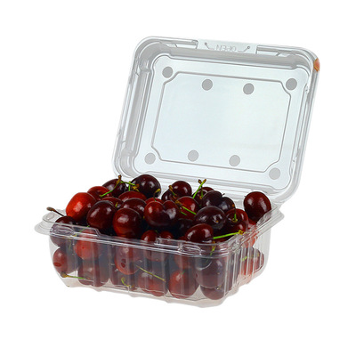 500g一次性透明塑料水果包装盒西瓜果切车厘子一斤盒pet吸塑制品