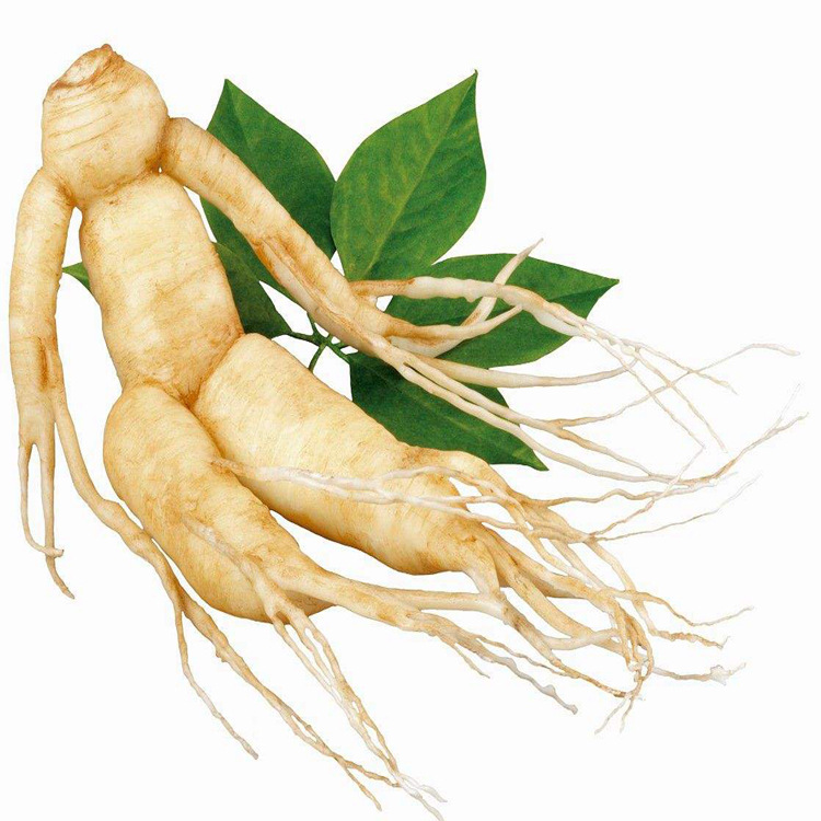 灏运堂中药材批发 人参叶 人参叶粉批发 源头药材供应 产地直发