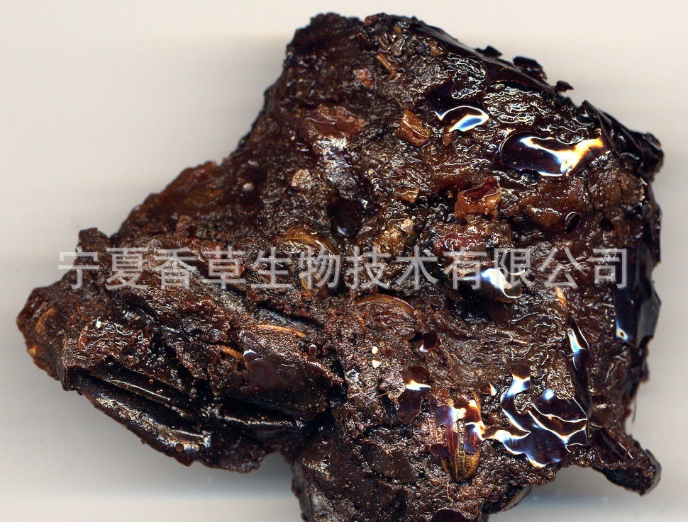 干漆提取物101漆树粉100目一公斤起订干漆浸膏粉干漆速溶粉