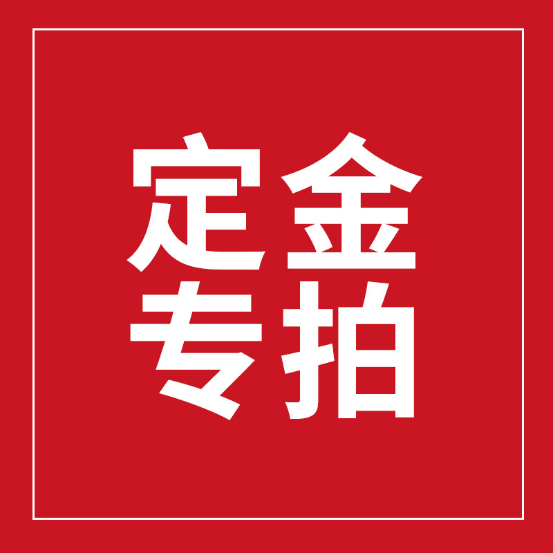 定制类产品定金专拍链接 定金多少拍多少件