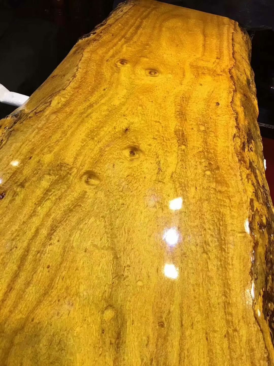 黄金樟大班桌 缅甸黄金樟实木大板毛料 办公会议桌书房家用大板桌