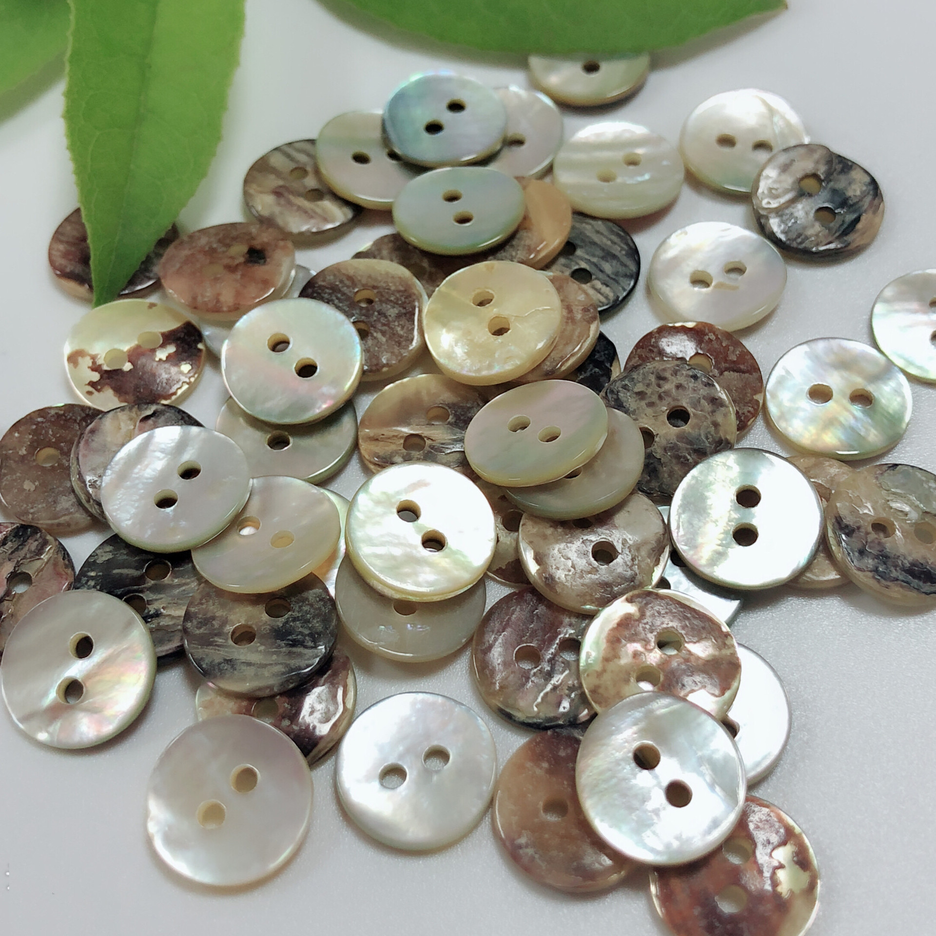 厂家直销进口马氏贝扣马司贝壳扣两眼衬衫扣 天然贝壳纽扣 真贝扣
