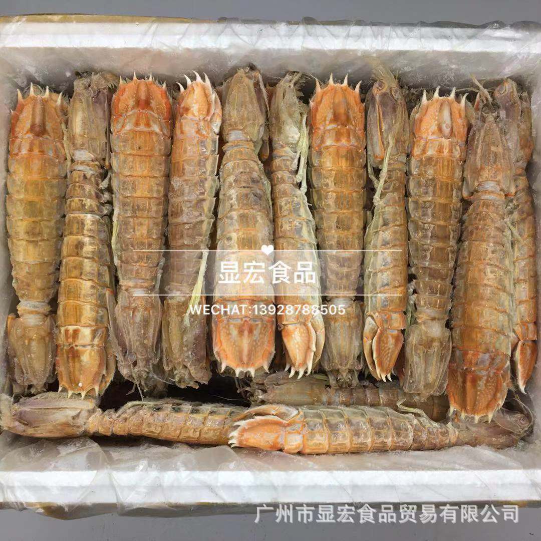 批发鲜活熟冻超大皮皮虾 泰国虾姑 富贵虾3-8两/只烧烤酒店食材