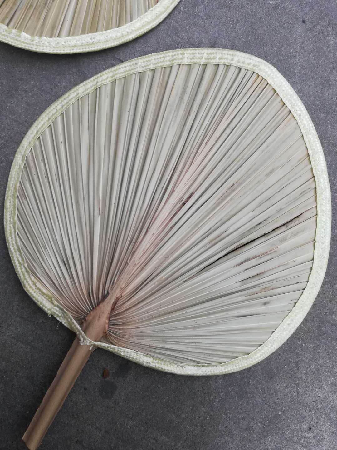 厂家直销 扇子大蒲扇 葵扇 芭蕉扇 天然环保原生态扇 量大从优