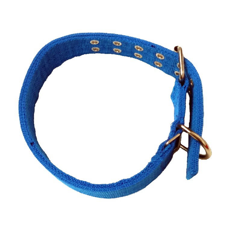 猛犬项圈 中型大型犬金毛拉布拉多加厚双排扣猛犬宠物狗狗项圈