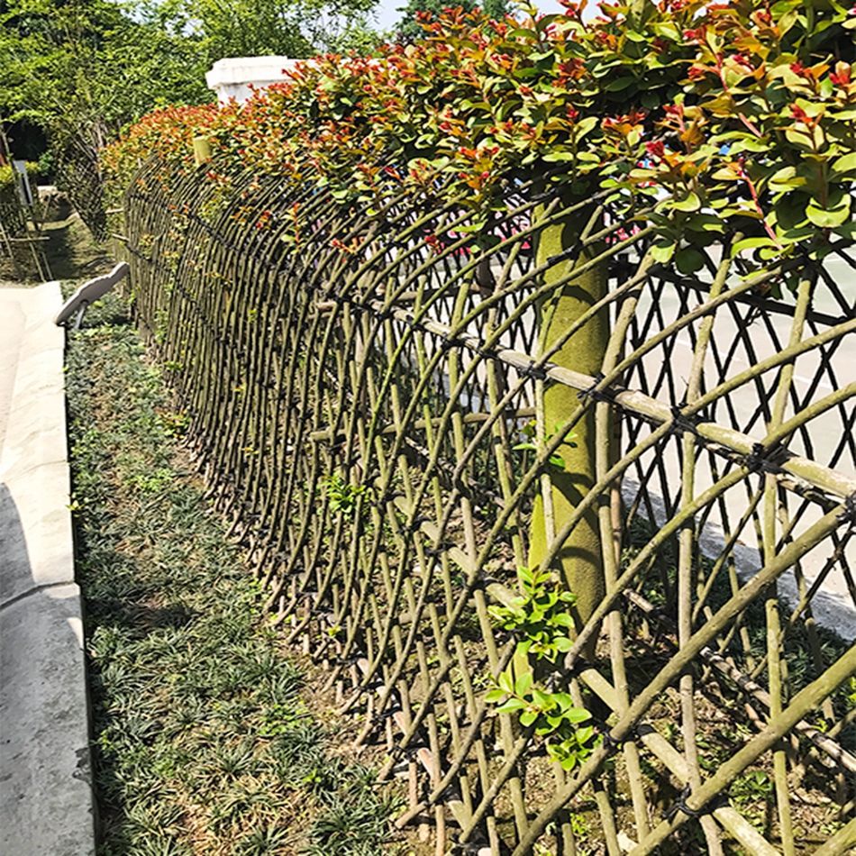 紫薇篱笆墙造型景观编艺植物 园林庭院公园绿化工程苗木绿植