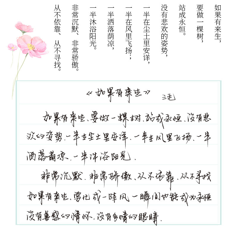 绍泽文化 品轩阁 自由手写体 成人行楷行书速成 钢笔临摹练字帖