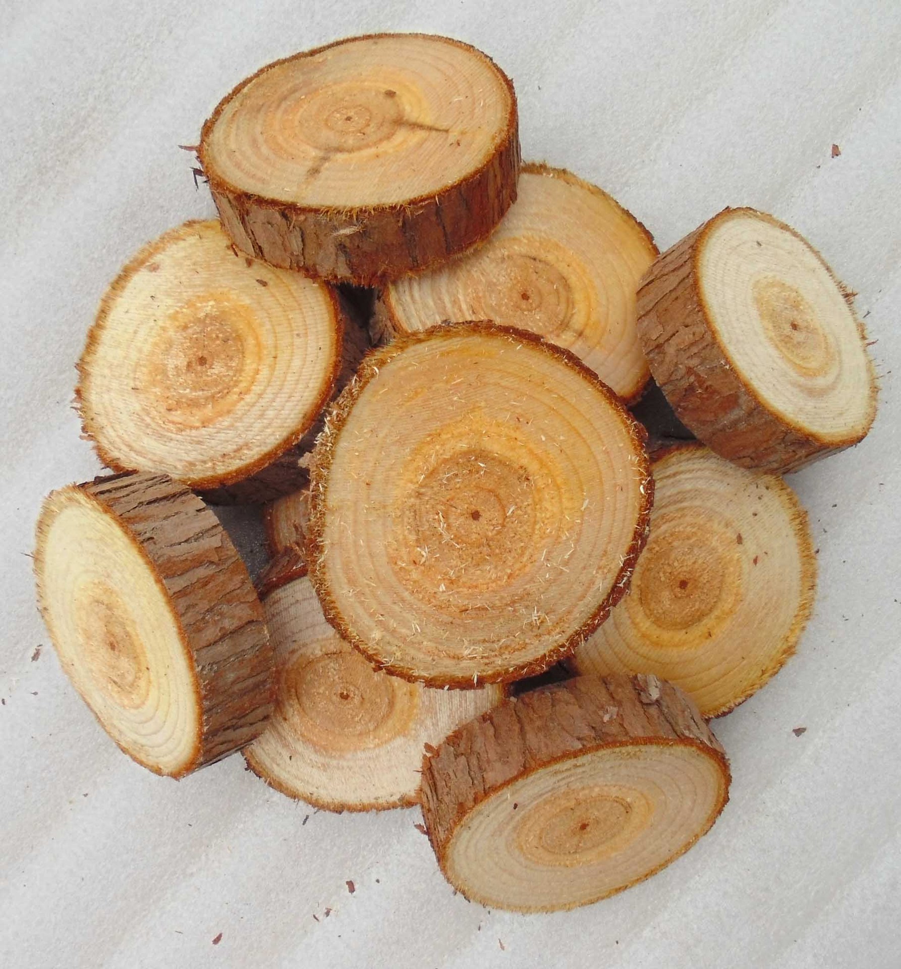 天然 杉木条杉木片小圆柱木头桩子 原木装饰圆木片干树枝拍照道具