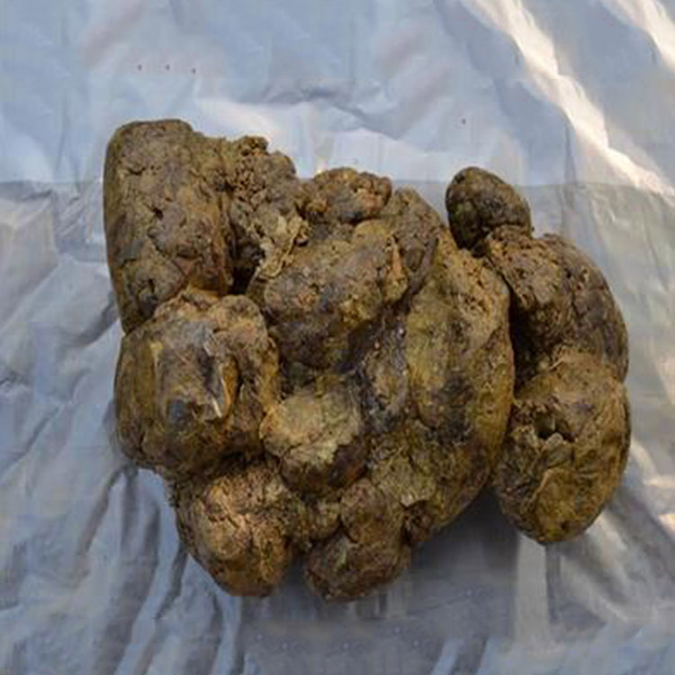 农家自产天然蜂胶 蜂胶原胶蜂箱盖上和塑料采胶器采集固体蜂原胶