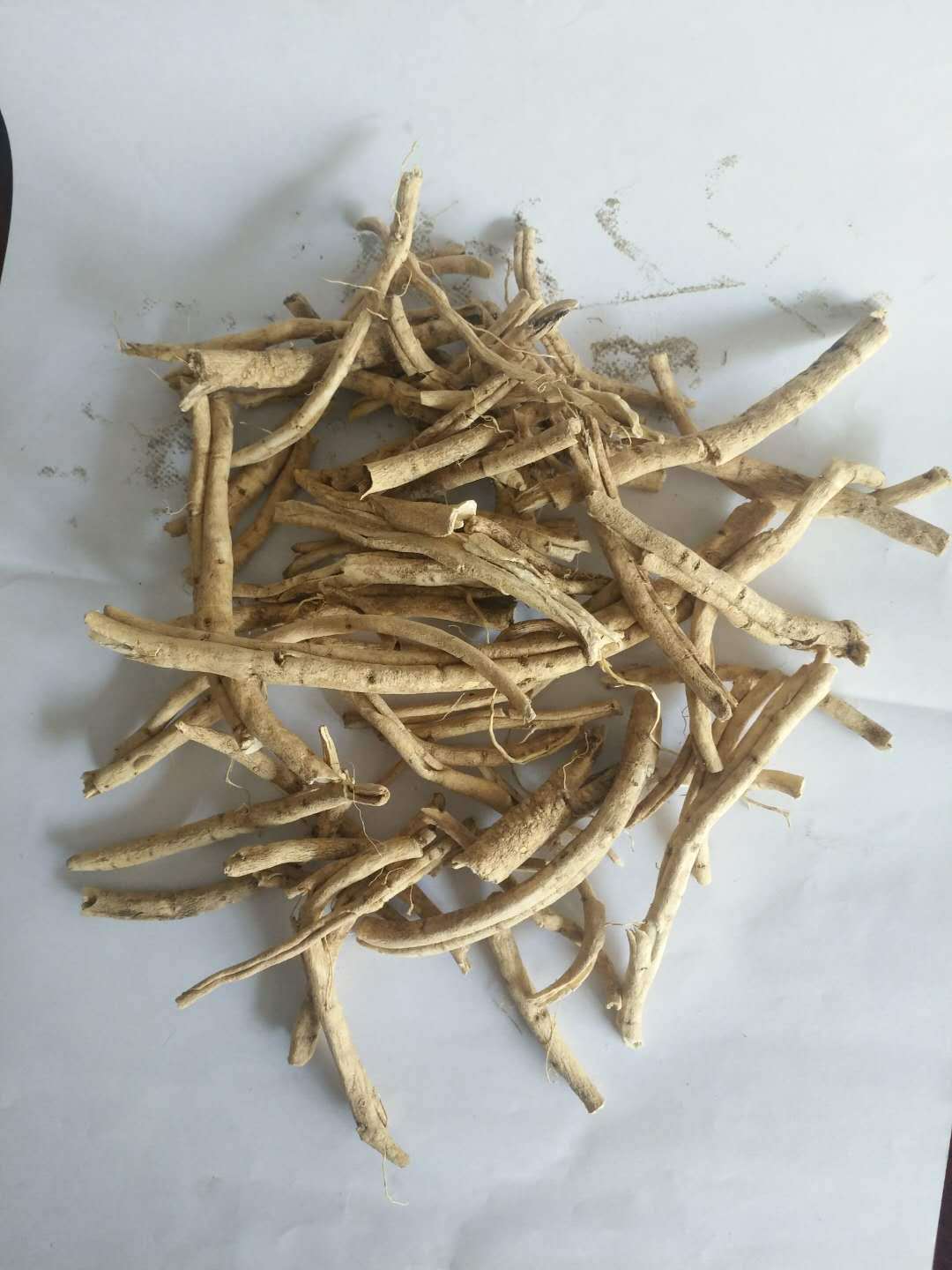新疆白鲜皮