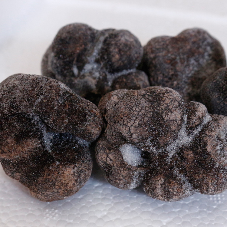 2021云南高黎贡山黑松露 新鲜速冻黑松露各种规格批发产地1000g装