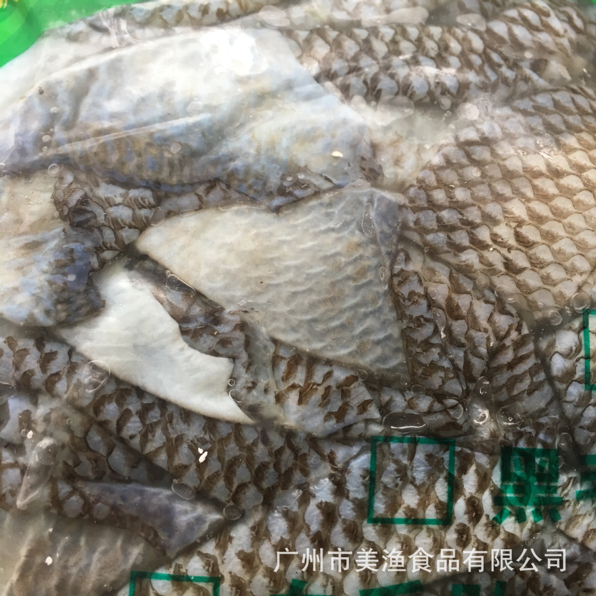 新鲜冷冻速冻鱼皮 皖鱼皮罗非鱼皮凉拌火锅 泡椒鱼皮 5斤/包