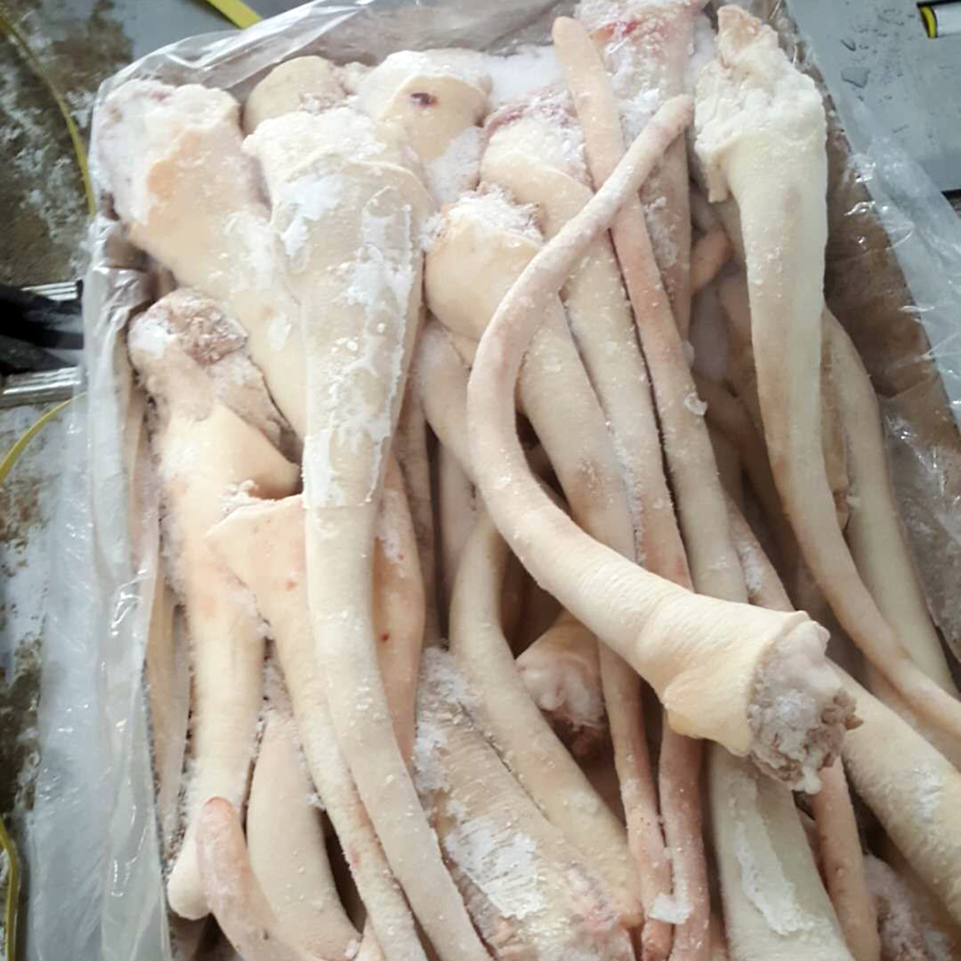 【猪肉猪尾】-猪肉猪尾厂家,品牌,图片,热帖-阿里巴巴