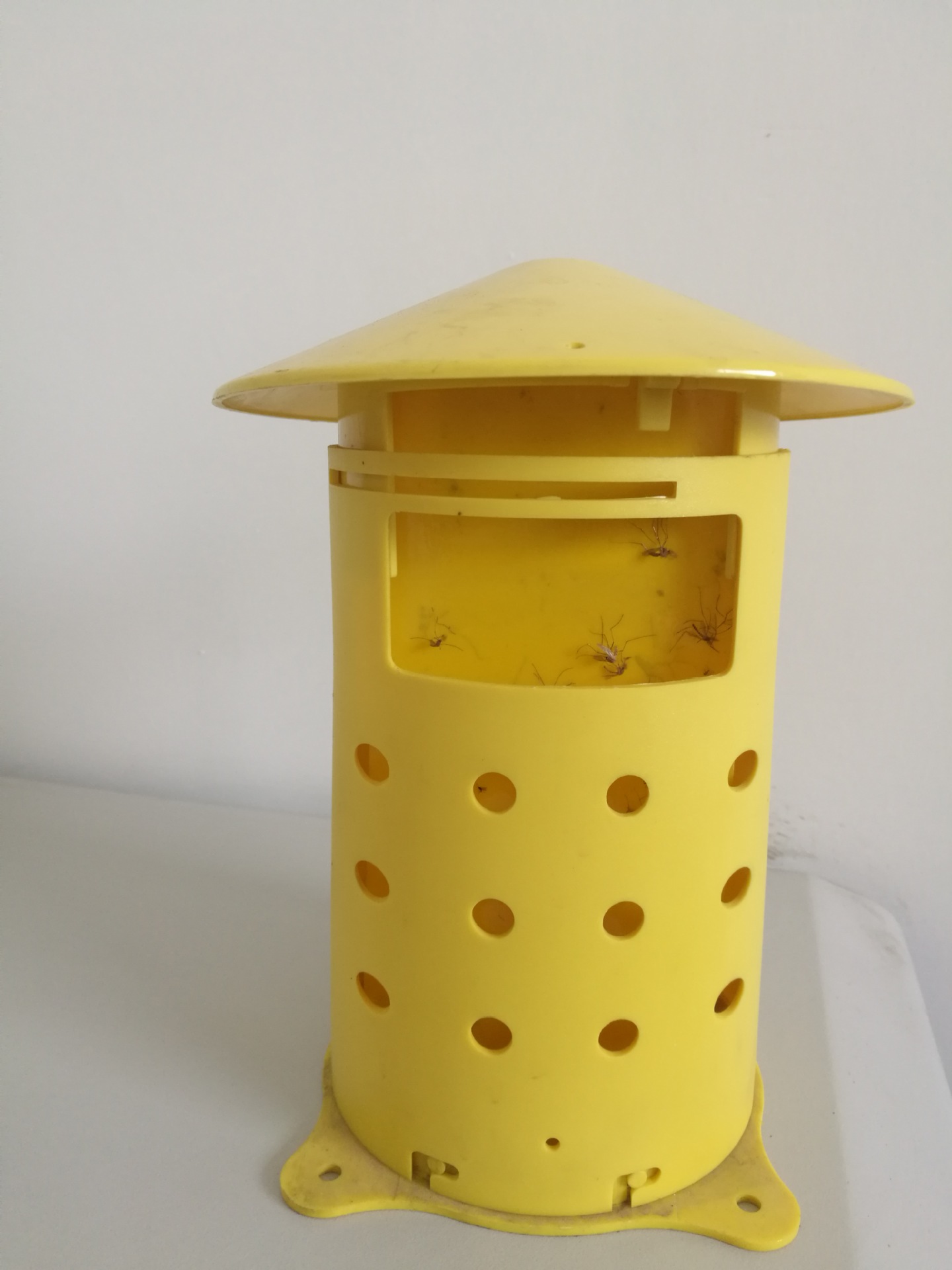 水光苍蝇蚊子引诱剂诱捕器 家庭户外两用完全无毒蚊蝇诱杀器