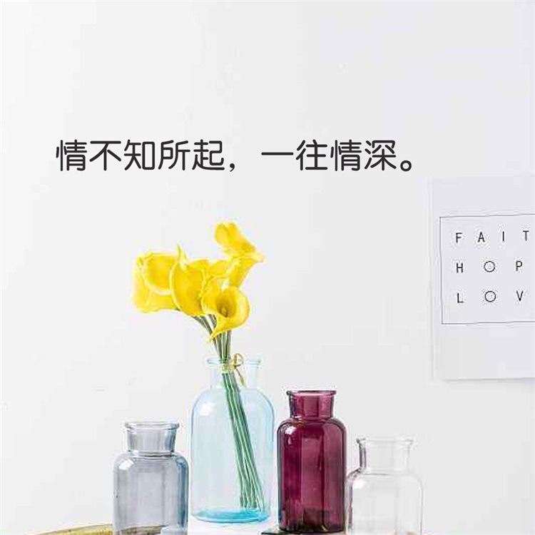 gb645 情不知所起 一往情深 土味情话贴纸 简约中文墙贴