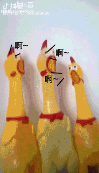 395_689竖版 竖屏gif 动态图 动图