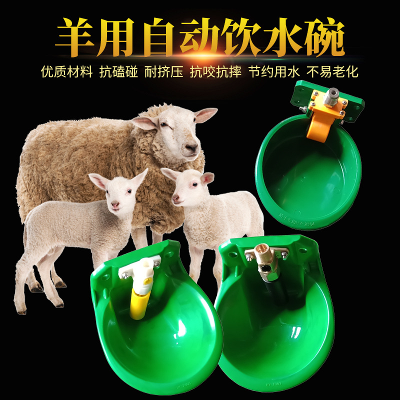 养牛羊备养羊用品养殖设备羊用饮水碗饮水器养羊场专用