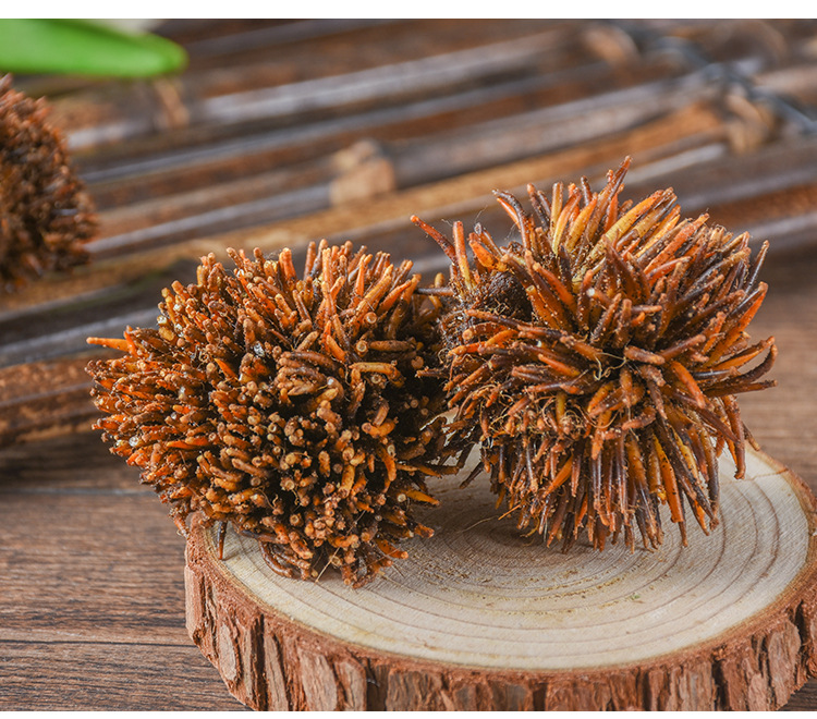 刺猬皮无硫中药材仙人衣优质散装各种动物原药材品种全量大从优