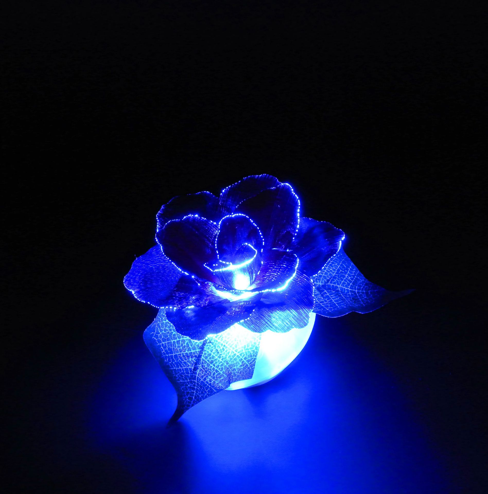 新奇特遥控led光纤花灯 发光花玫瑰仿真花节日喜庆圣诞装饰小夜灯