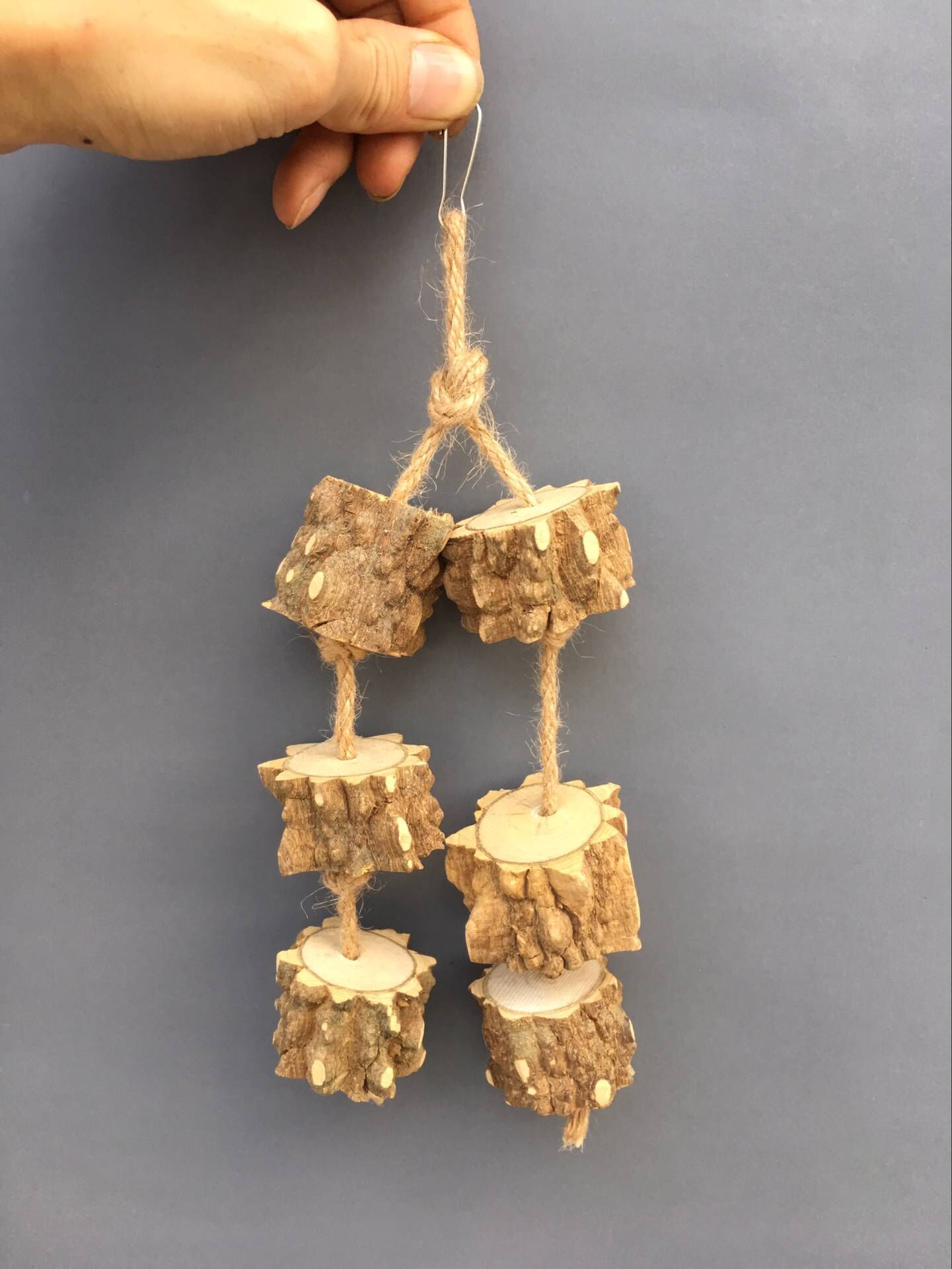 花椒木鹦鹉啃咬玩具