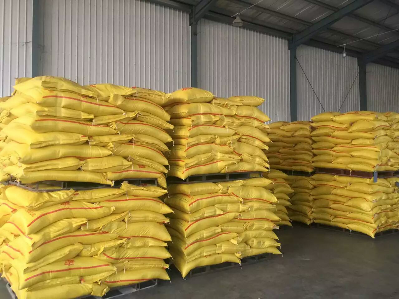 美豆全脂膨化大豆蛋白饲料广州畜宝