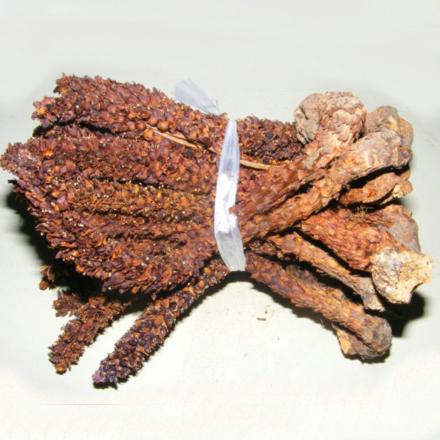 产地大兴安岭散装野生不老草山苞米草苁蓉列当泡酒8厘米以上一斤